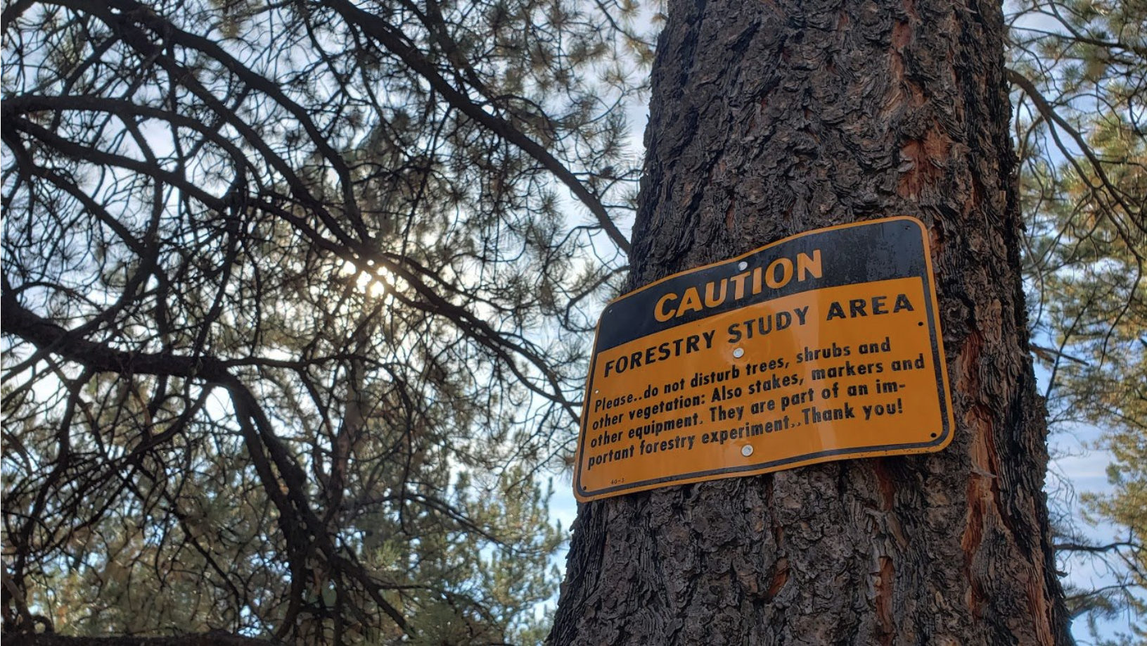 A sign posted on a tree reads: "Caution, forestry study area."